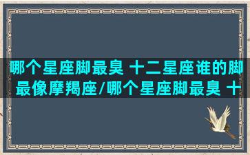 哪个星座脚最臭 十二星座谁的脚最像摩羯座/哪个星座脚最臭 十二星座谁的脚最像摩羯座-我的网站